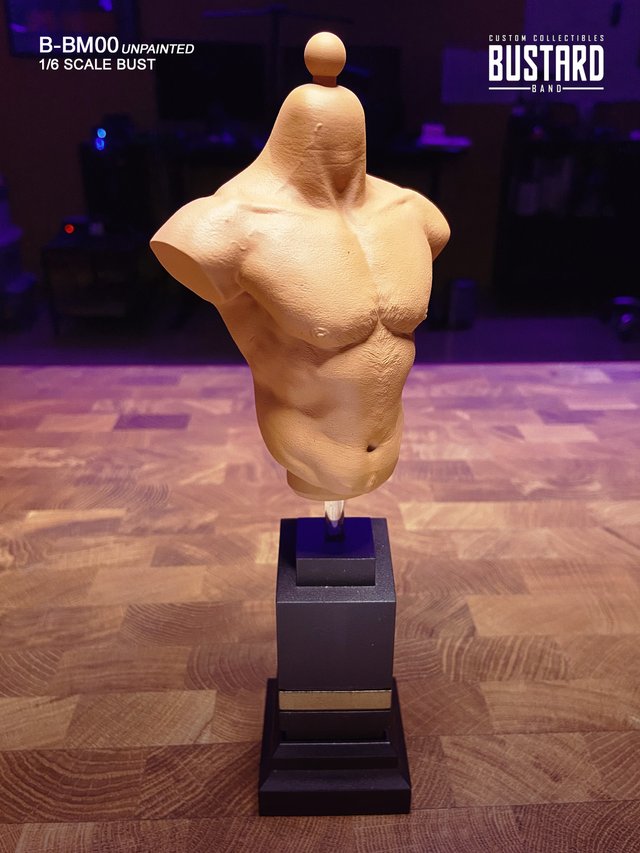 MALE BUST STANDARD 1/6 Resina HD - Exclusivo