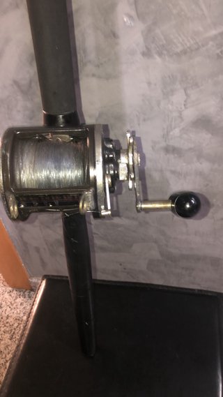 Caña de pesca Mariner International Pro Stand Up 5