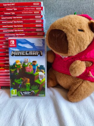 Minecraft Nintendo Switch