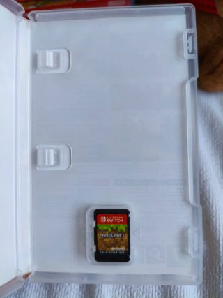 Minecraft Nintendo Switch