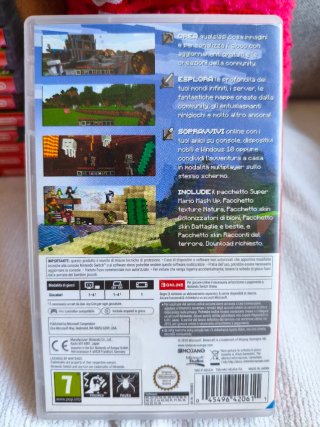Minecraft Nintendo Switch