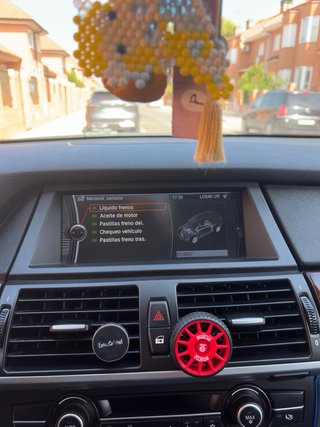 BMW X5 2010