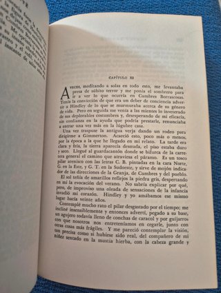 Cumbres Borrascosas - Emily Brontë - Clásico (envi