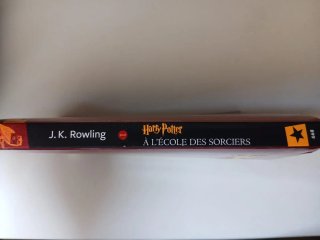 Harry Potter à l'école des sorciers