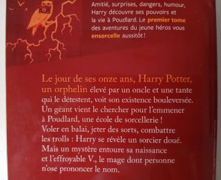 Harry Potter à l'école des sorciers