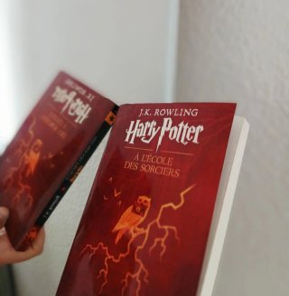 Harry Potter à l'école des sorciers