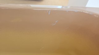Fregador acrílico marrón