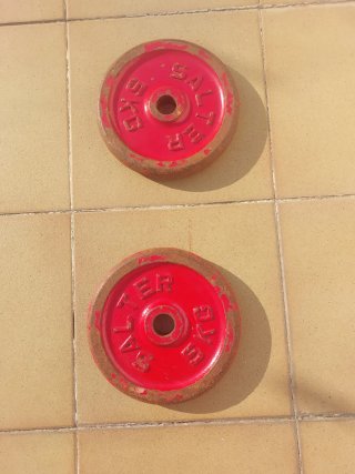 2 Discos Salter 5 kg