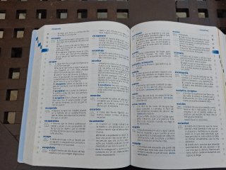 Diccionario Primaria lengua española