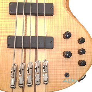 BAJO ELÉCTRICO IBANEZ BTB 1205E