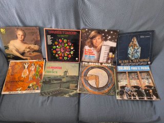 Lote de 13 Vinilos Flamenco y Copla