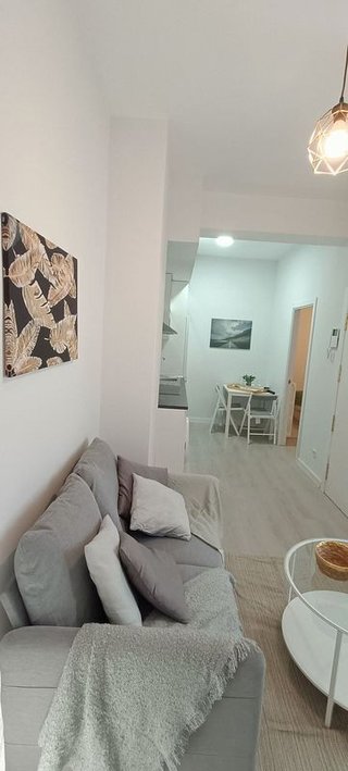 Piso en alquiler en Ciudad Jardín en Madrid