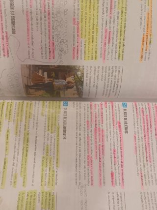 Lengua castellana y literatura 1 Secundaria