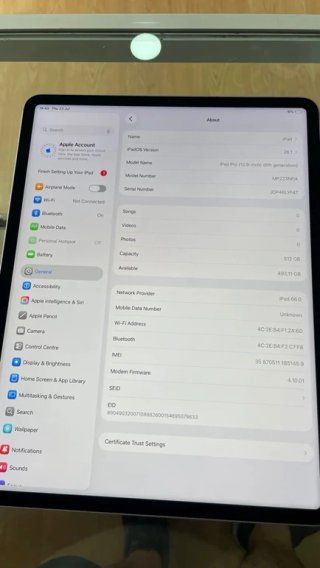 iPad Pro 12.9 6th Gen 512GB Gris Wifi+Cel