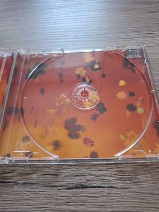 CD "Freak of Nature" di Anastacia