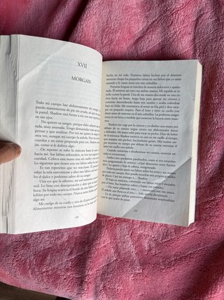 Almas perdidas Libro 01: La revelación (Spanish...