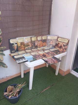 Lote 22 Vinilos Música Clásica Salvat