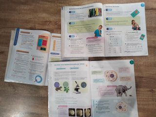 Libros 5 de Primaria