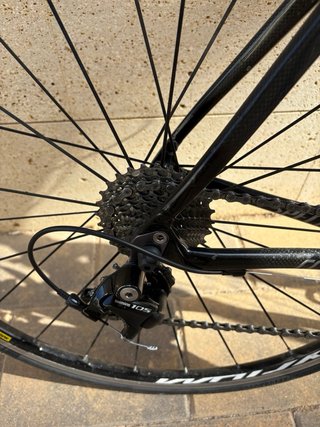 Bicicleta Specialized Roubaix Carbono