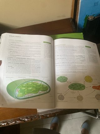 Biología 2 bachillerato, Operación Mundo