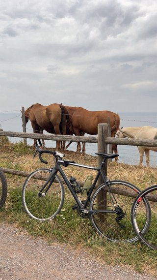 Bicicleta Cannondale de carretera