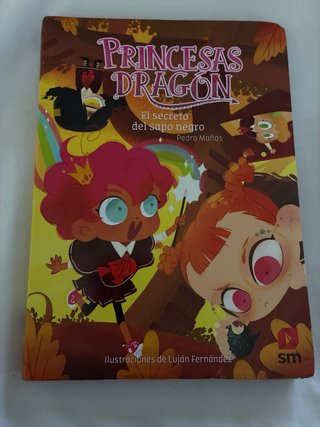 Lote 5 libros princesas dragón
