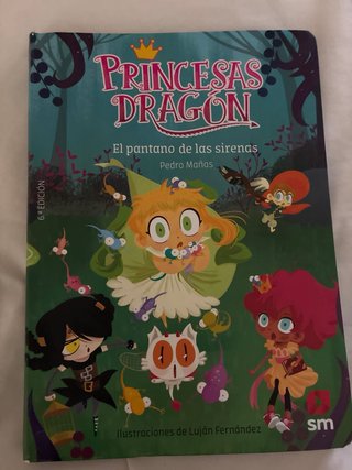Lote 5 libros princesas dragón