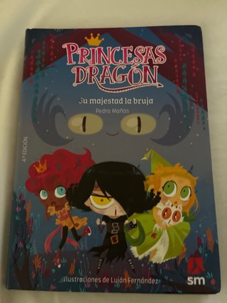 Lote 5 libros princesas dragón