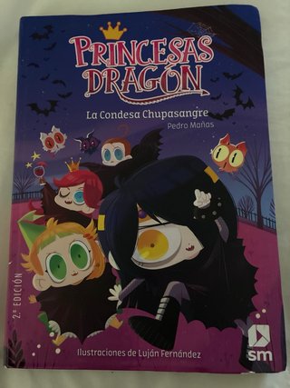Lote 5 libros princesas dragón