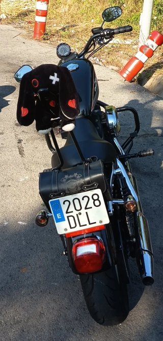 Harley Davidson Sportster 883 XLR.