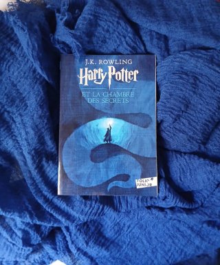 Harry Potter et la chambre des secrets