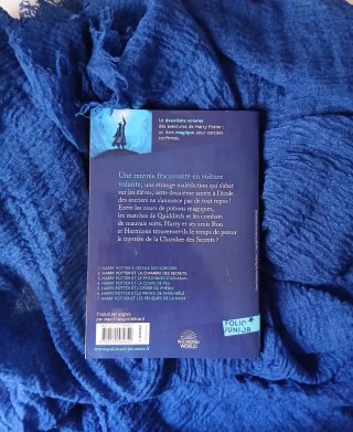 Harry Potter et la chambre des secrets
