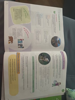 Ciencias de la Naturaleza, 4 Primaria, Proyecto...