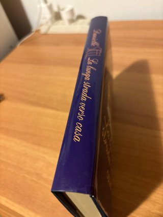 Danielle Steel la lunga strada verso casa