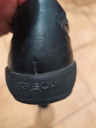 Scarpe Geox