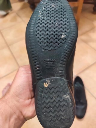 Scarpe Geox