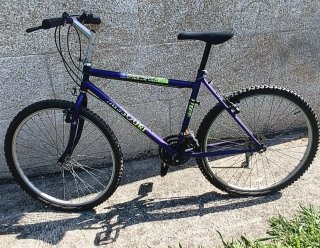 Bicicleta Montaña Morada Missouri