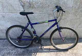 Bicicleta Missouri Morada