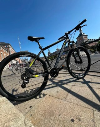 Bicicleta 29 Montaña