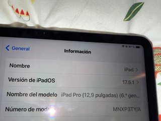 iPad Pro 12.9 Gris Espacial
