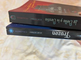 Un giro inesperado. La bella y la bestia + frozen