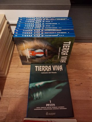 libros de cartón duros nuevos