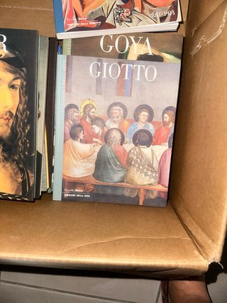 Libro  Giotto