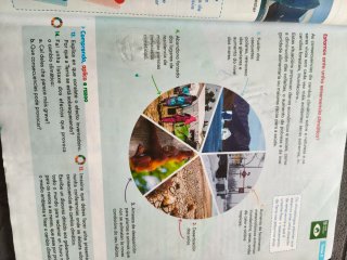 CIENCIAS SOCIAIS 5 (COMUNIDADE ZOOM)