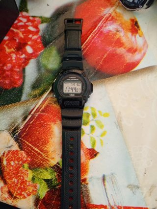 Orologio Casio Alarm Chronograph Nero