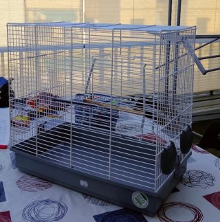Jaula de Pájaros o Más - Grande Como nueva