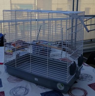 Jaula de Pájaros o Más - Grande Como nueva