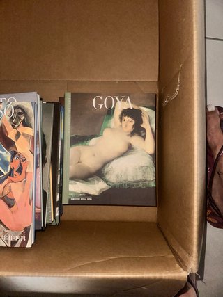 Libro Goya