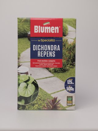 Semi per prato Dichondra Repens Blumen