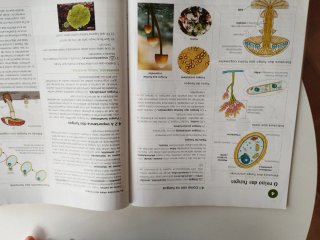 Bioloxía e xeoloxía, 1 ESO, Galicia, Operación ...